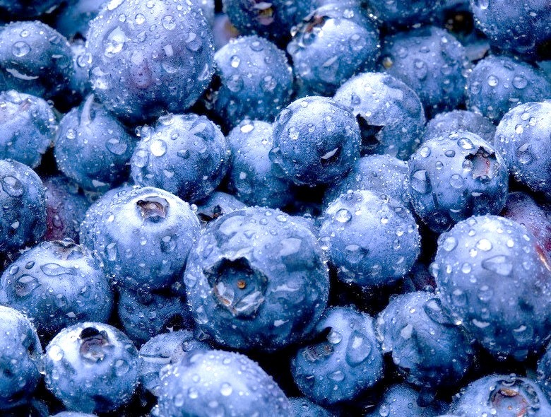 Wet Blueberries